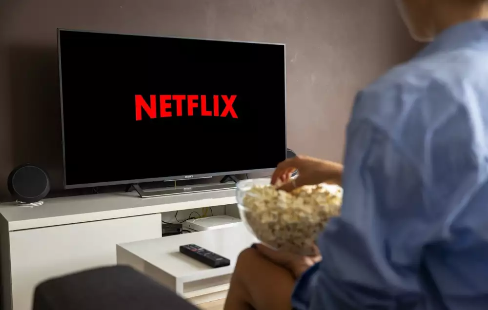 Netflix Pridani Domacnosti